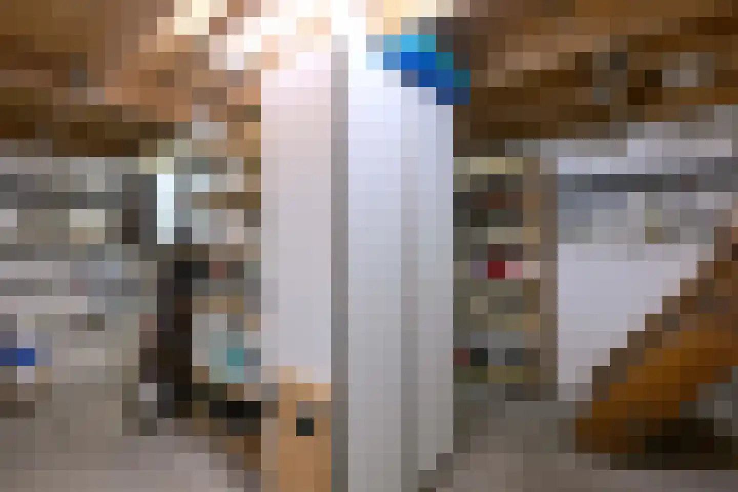 Vaassenseweg 15 Terwolde thumbnail 25