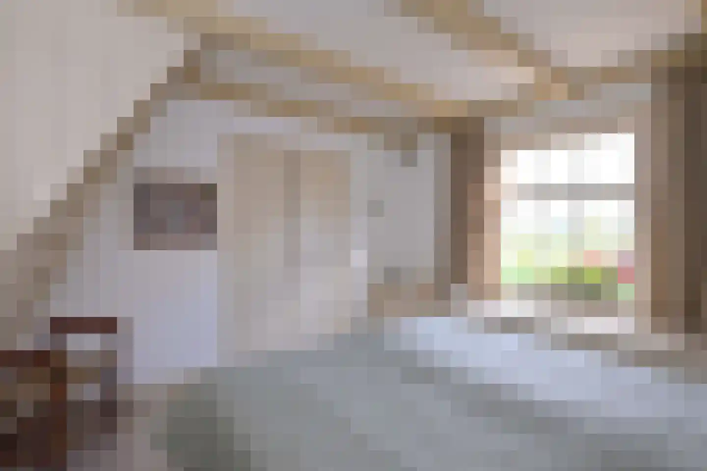 Vaassenseweg 15 Terwolde thumbnail 26