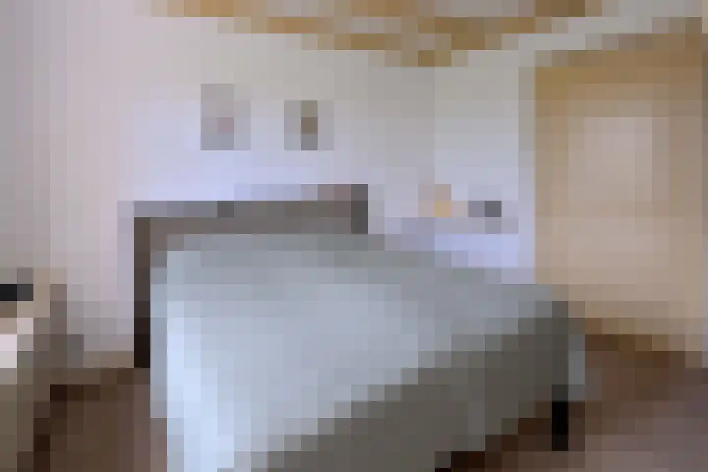 Vaassenseweg 15 Terwolde thumbnail 27