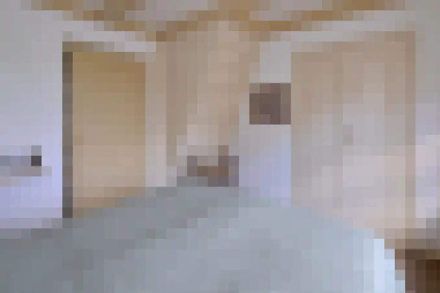 Vaassenseweg 15 Terwolde thumbnail 28