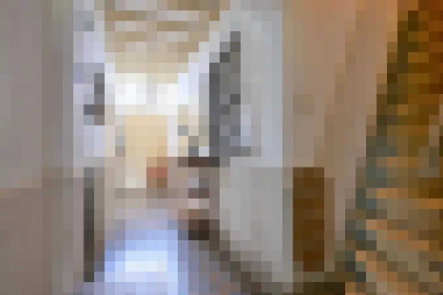 Vaassenseweg 15 Terwolde thumbnail 45