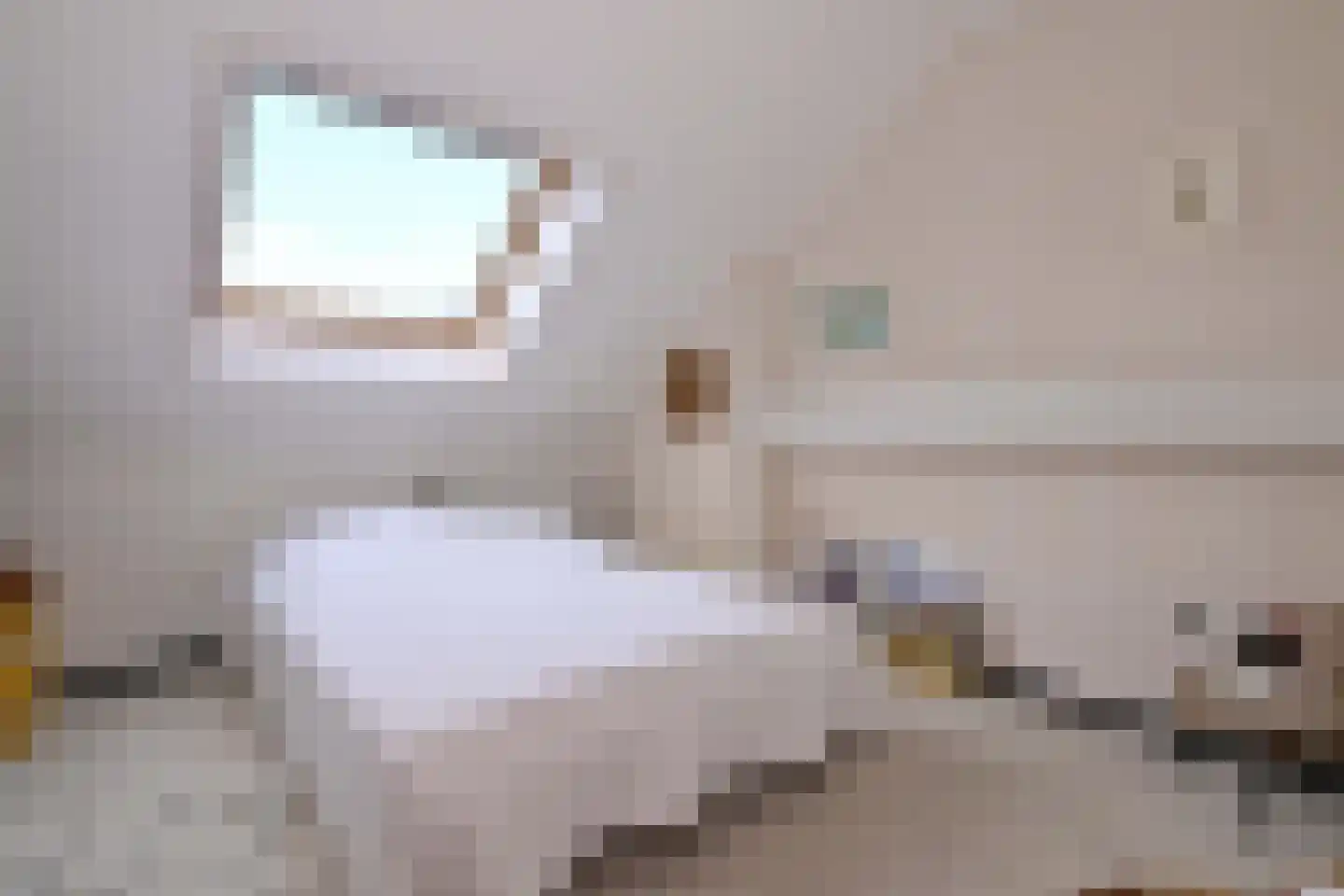Vaassenseweg 15 Terwolde thumbnail 51