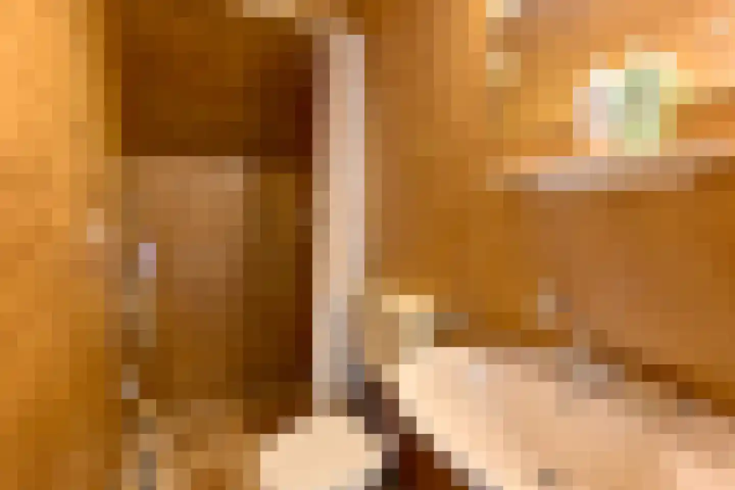 Vaassenseweg 15 Terwolde thumbnail 54