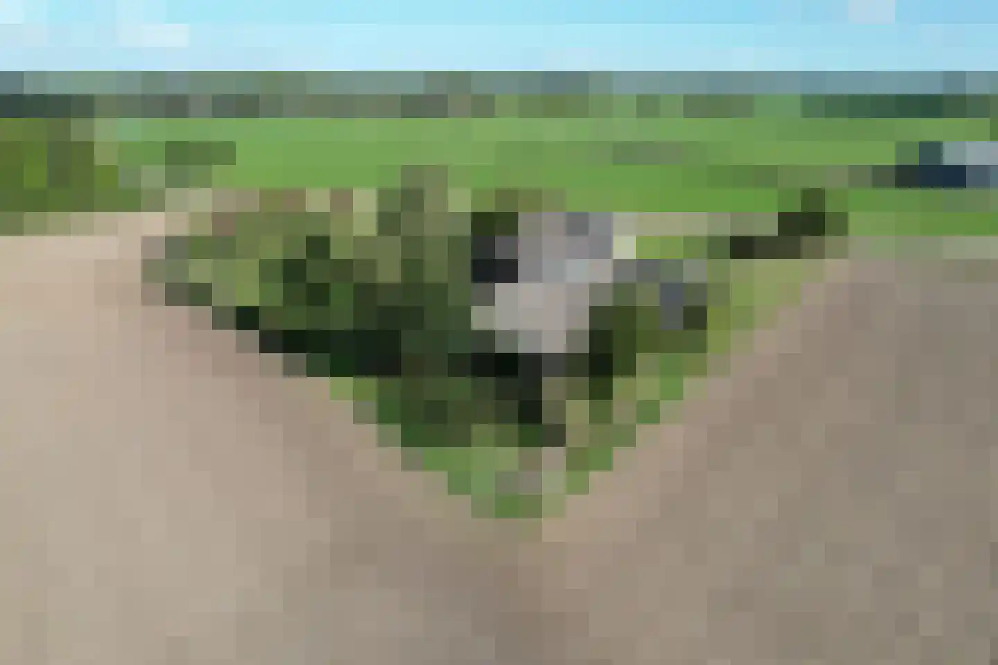 Vaassenseweg 15 Terwolde thumbnail 6