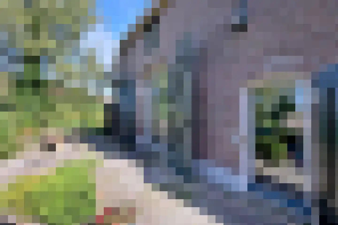 Vaassenseweg 15 Terwolde thumbnail 62