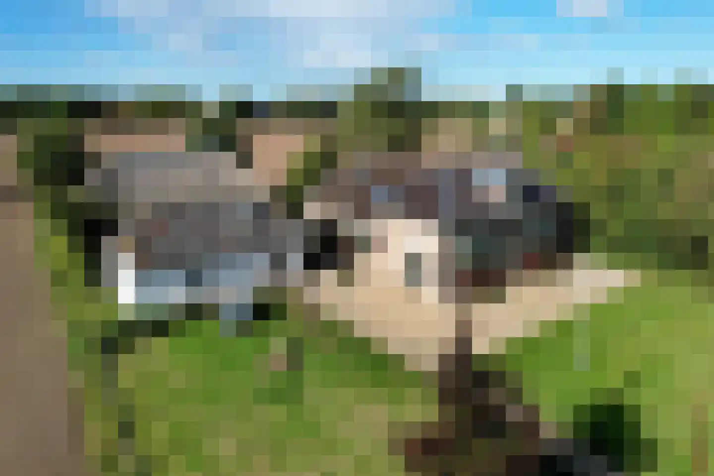 Vaassenseweg 15 Terwolde thumbnail 70
