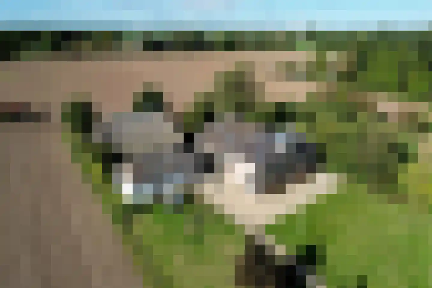 Vaassenseweg 15 Terwolde thumbnail 74