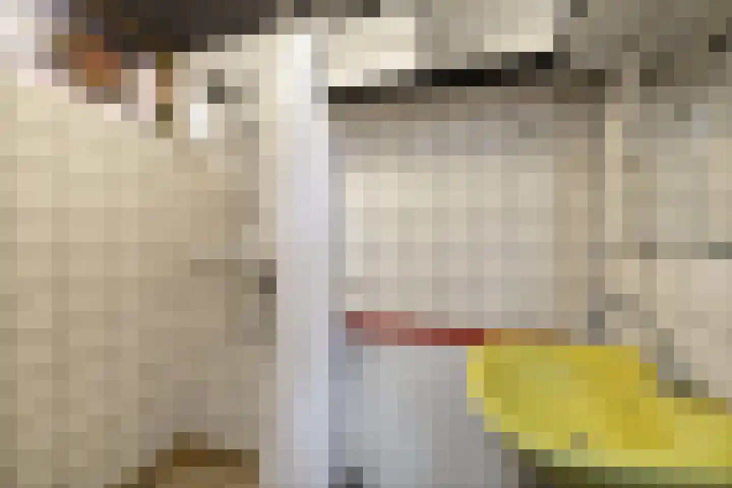 Vaassenseweg 21 Terwolde thumbnail 10