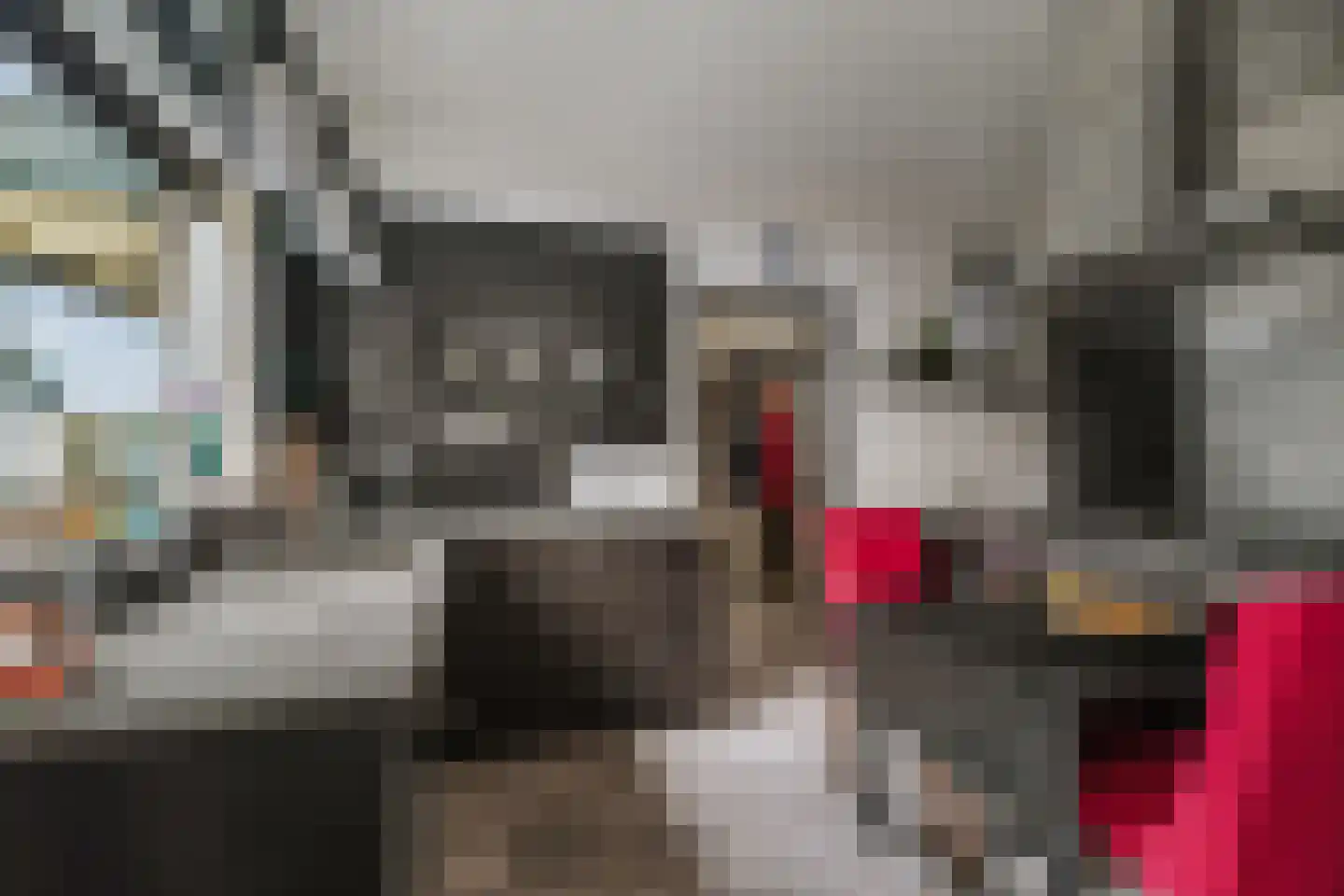 Vaassenseweg 21 Terwolde thumbnail 12