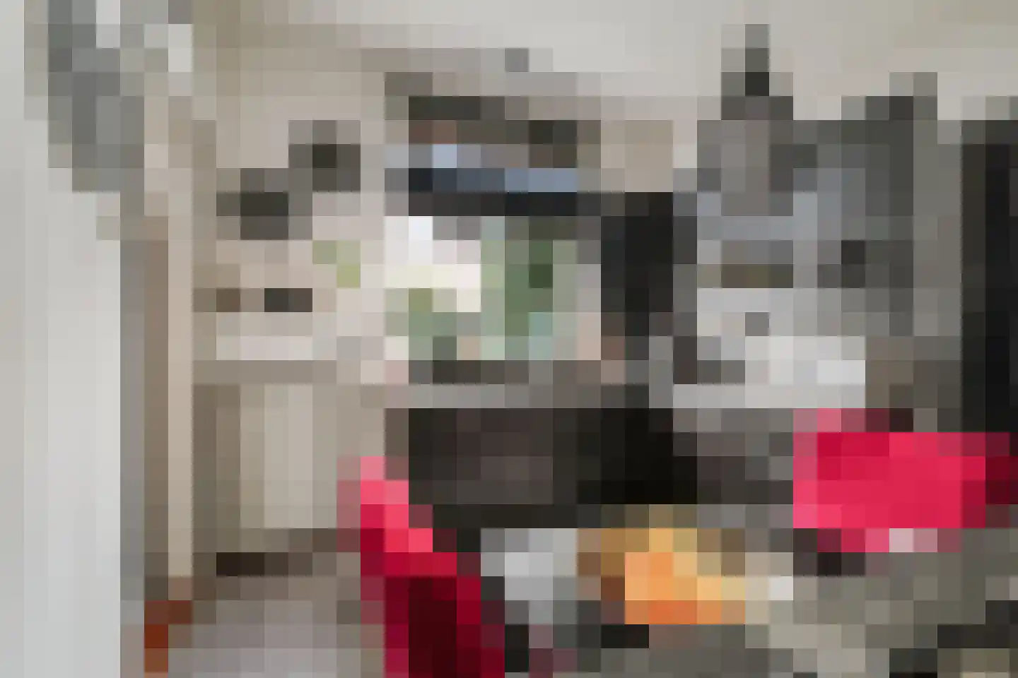 Vaassenseweg 21 Terwolde thumbnail 14