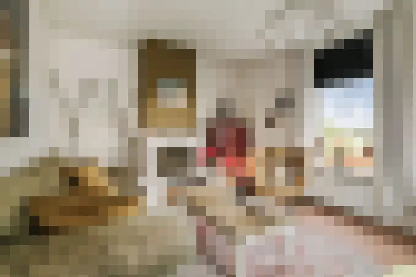 Vaassenseweg 21 Terwolde thumbnail 16