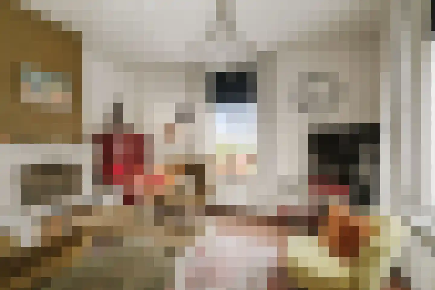 Vaassenseweg 21 Terwolde thumbnail 17