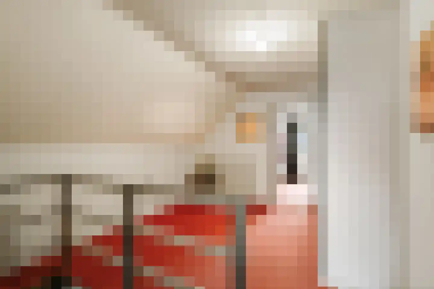 Vaassenseweg 21 Terwolde thumbnail 20