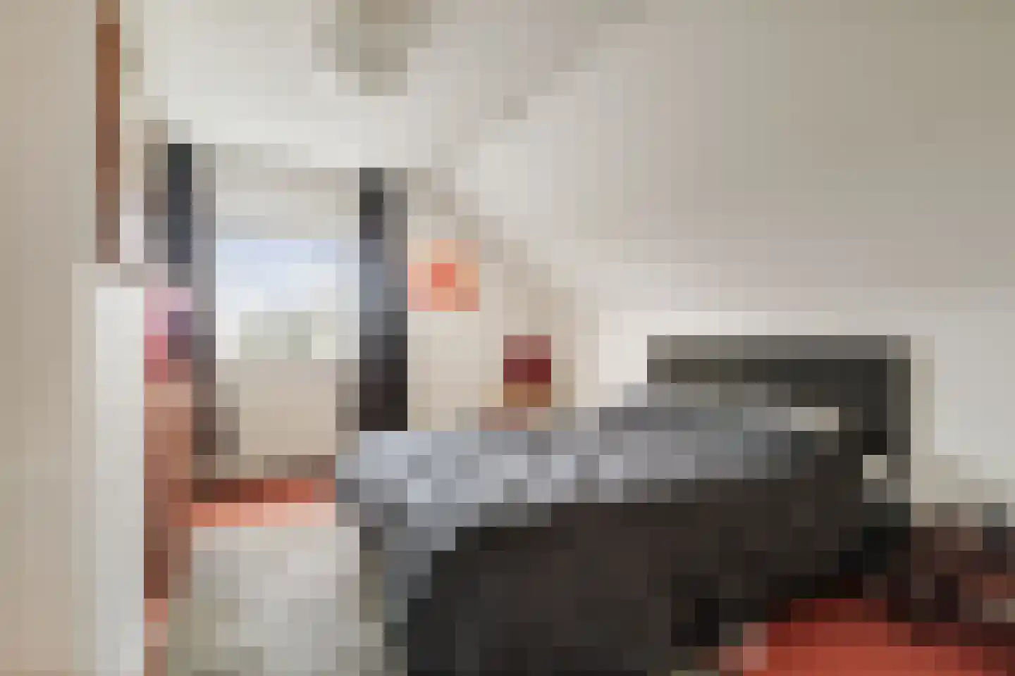Vaassenseweg 21 Terwolde thumbnail 22