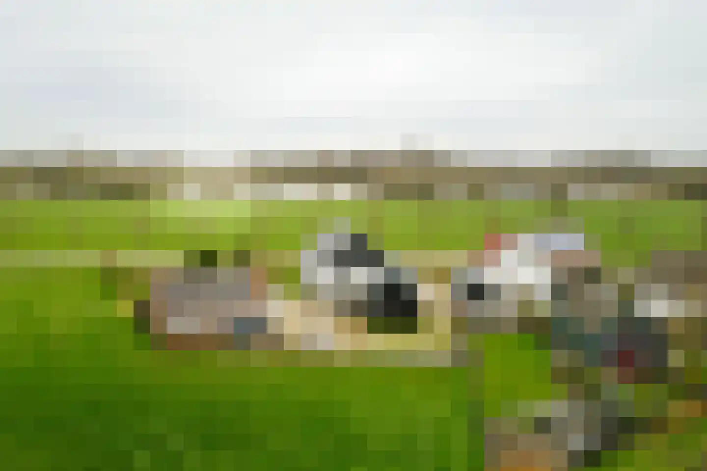 Vaassenseweg 21 Terwolde thumbnail 29