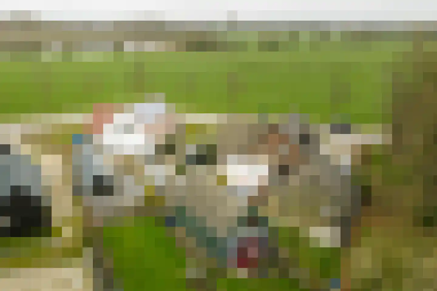 Vaassenseweg 21 Terwolde thumbnail 30
