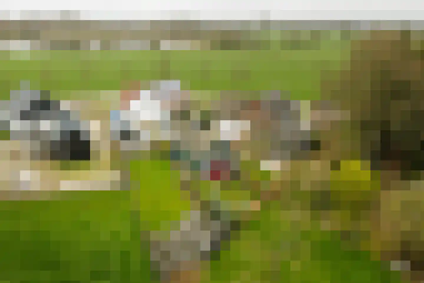 Vaassenseweg 21 Terwolde thumbnail 31