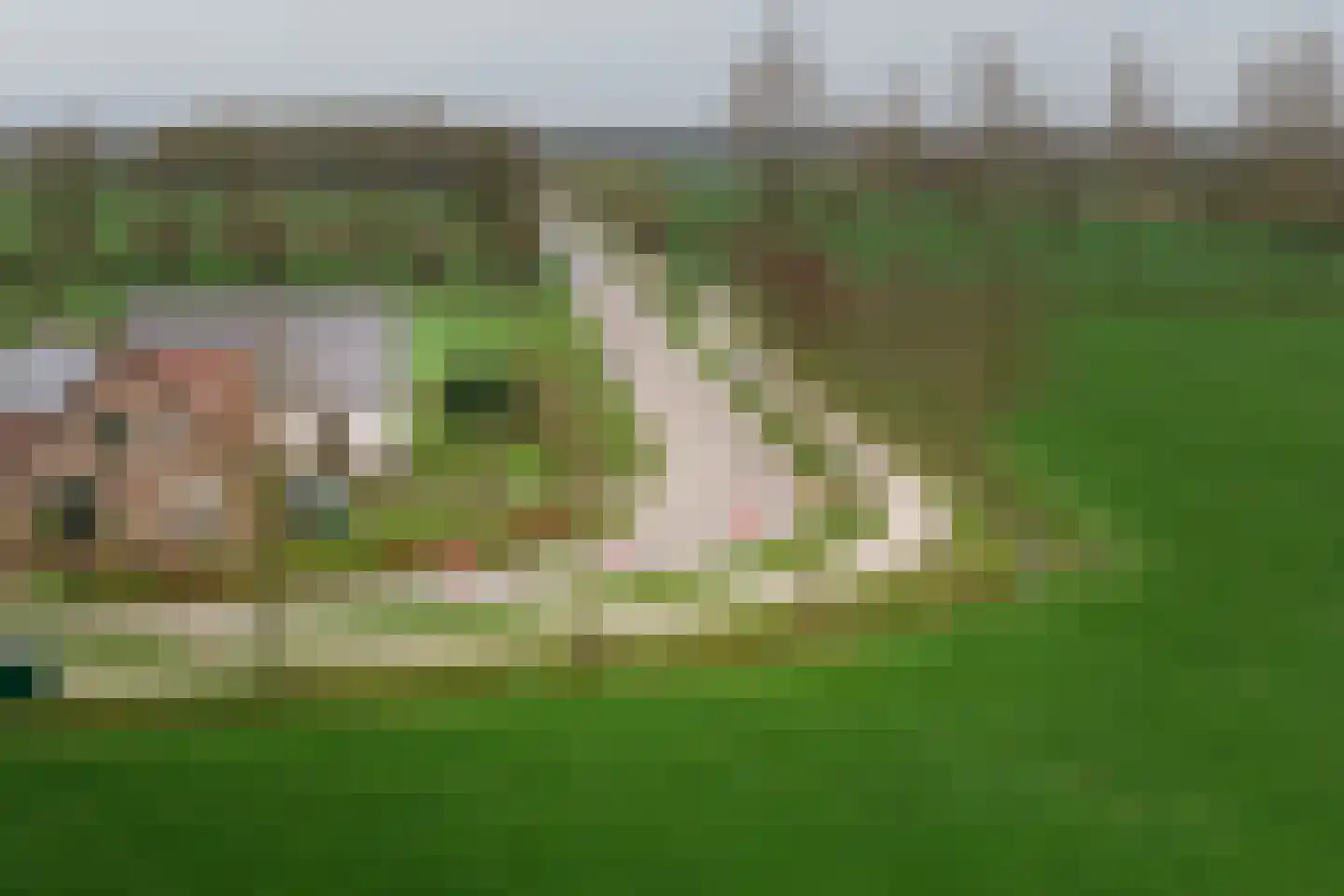 Vaassenseweg 21 Terwolde thumbnail 34