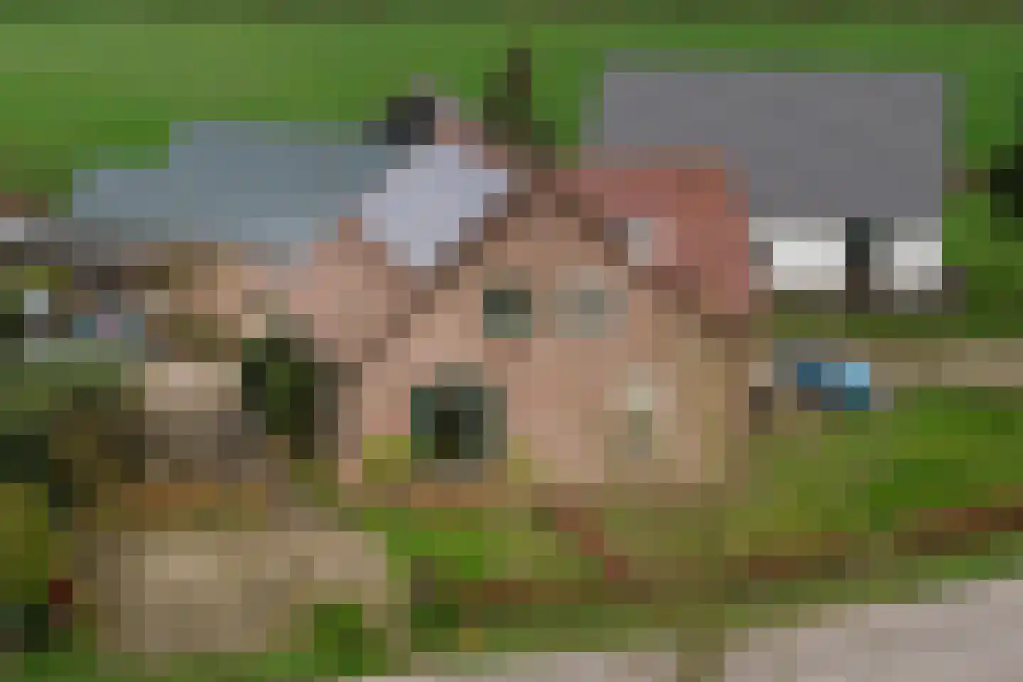 Vaassenseweg 21 Terwolde thumbnail 5