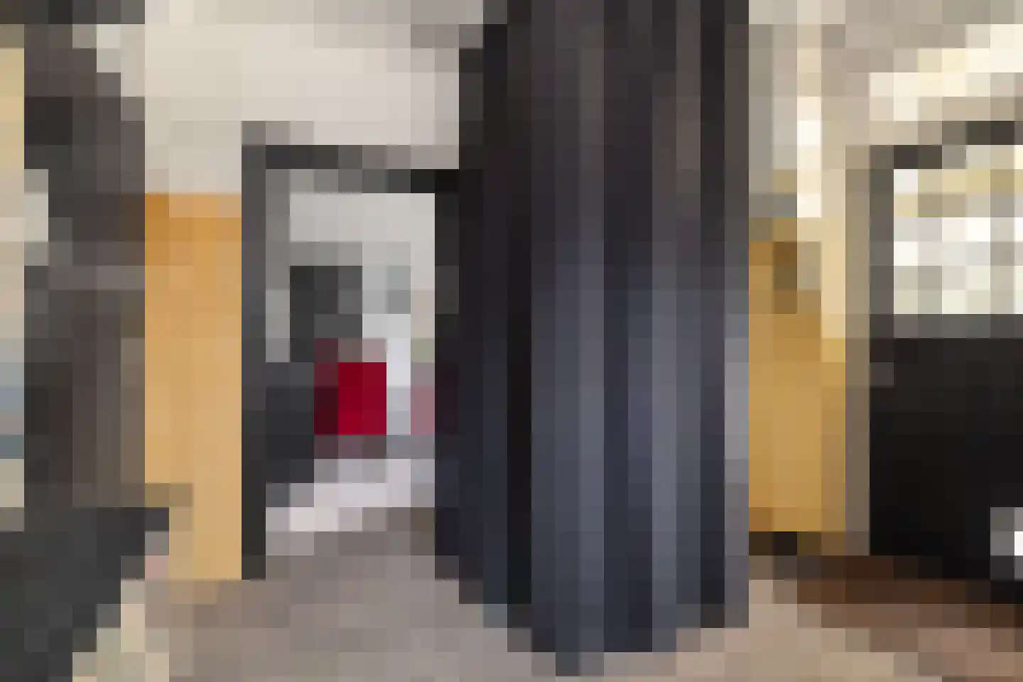Vaassenseweg 21 Terwolde thumbnail 8