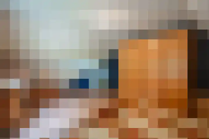 Vaassenseweg 36 Emst thumbnail 19