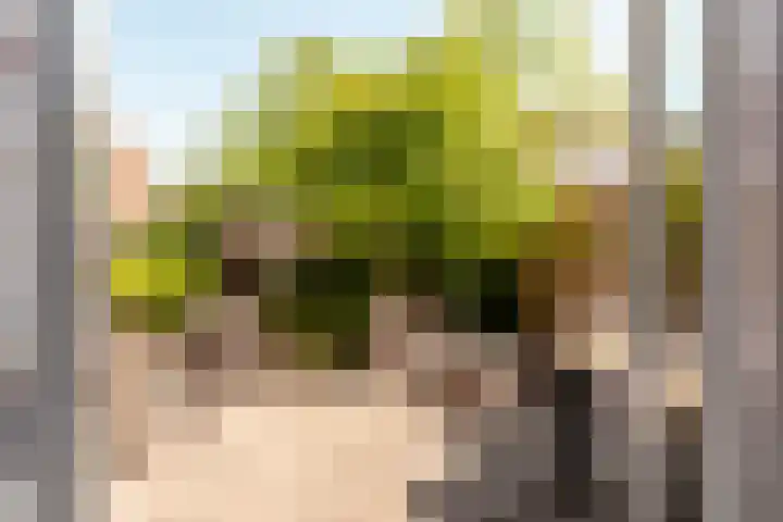 Vackenordestraat 2 B Elburg thumbnail 30