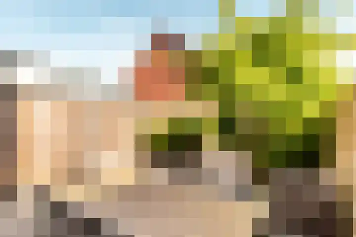 Vackenordestraat 2 B Elburg thumbnail 31