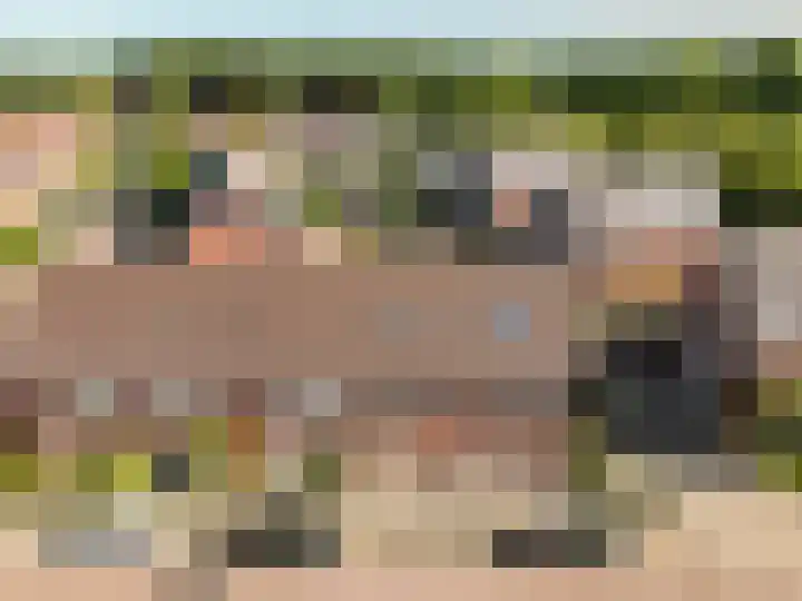 Vackenordestraat 2 B Elburg thumbnail 32