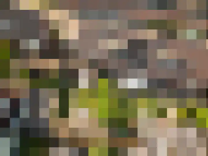 Vackenordestraat 2 B Elburg thumbnail 33