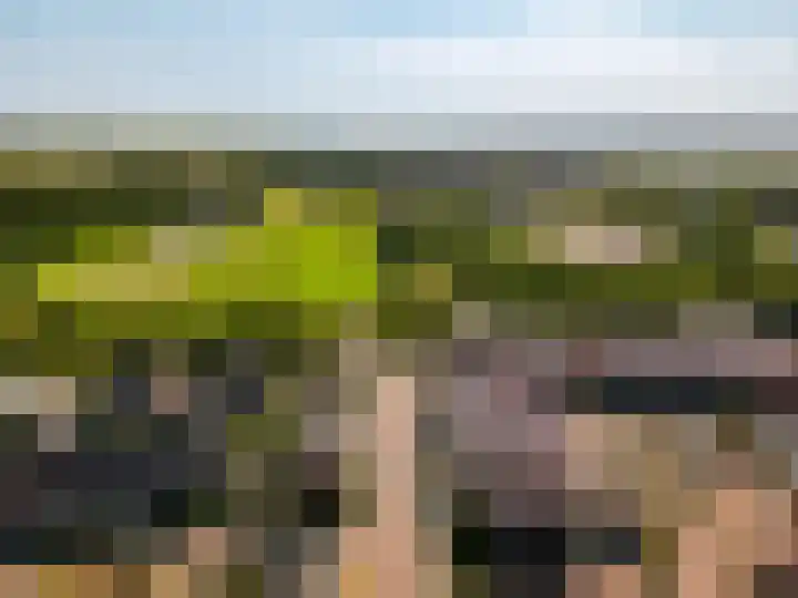 Vackenordestraat 2 B Elburg thumbnail 34