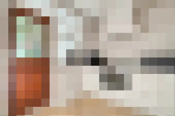 Vackenordestraat 22 Elburg thumbnail 16