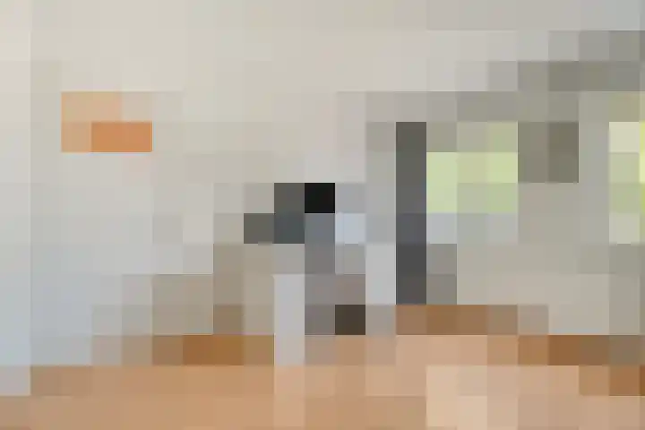Vackenordestraat 22 Elburg thumbnail 20