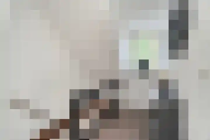 Vackenordestraat 22 Elburg thumbnail 26