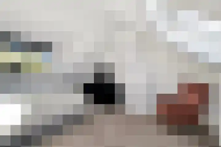 Vackenordestraat 22 Elburg thumbnail 27