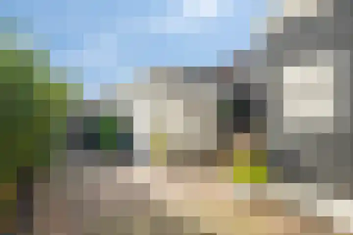 Vackenordestraat 22 Elburg thumbnail 29