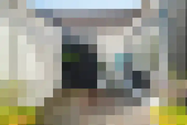 Vackenordestraat 22 Elburg thumbnail 30