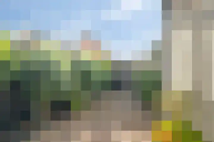 Vackenordestraat 22 Elburg thumbnail 32