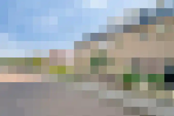 Vackenordestraat 22 Elburg thumbnail 37