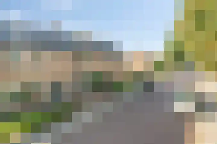 Vackenordestraat 22 Elburg thumbnail 38