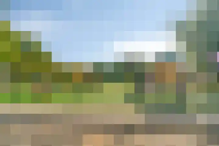 Vackenordestraat 22 Elburg thumbnail 39