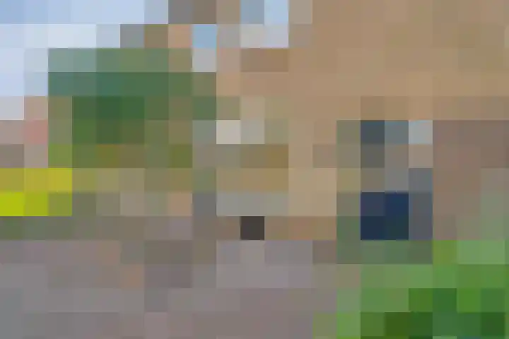 Vackenordestraat 22 Elburg thumbnail 5
