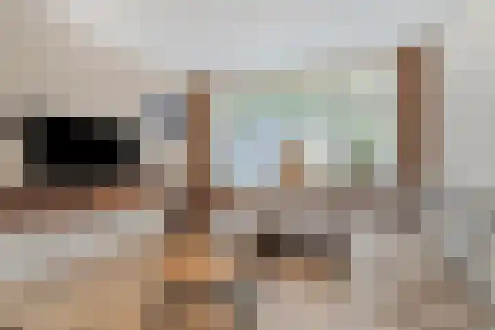 Vackenordestraat 22 Elburg thumbnail 7