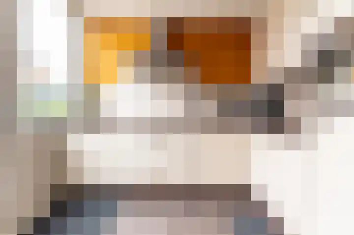 Vackenordestraat 51 Elburg thumbnail 10