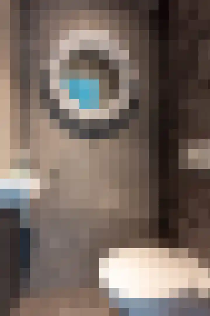 Vackenordestraat 51 Elburg thumbnail 13