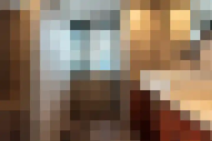 Vackenordestraat 51 Elburg thumbnail 20