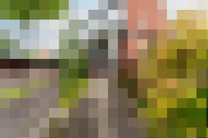Vackenordestraat 51 Elburg thumbnail 4