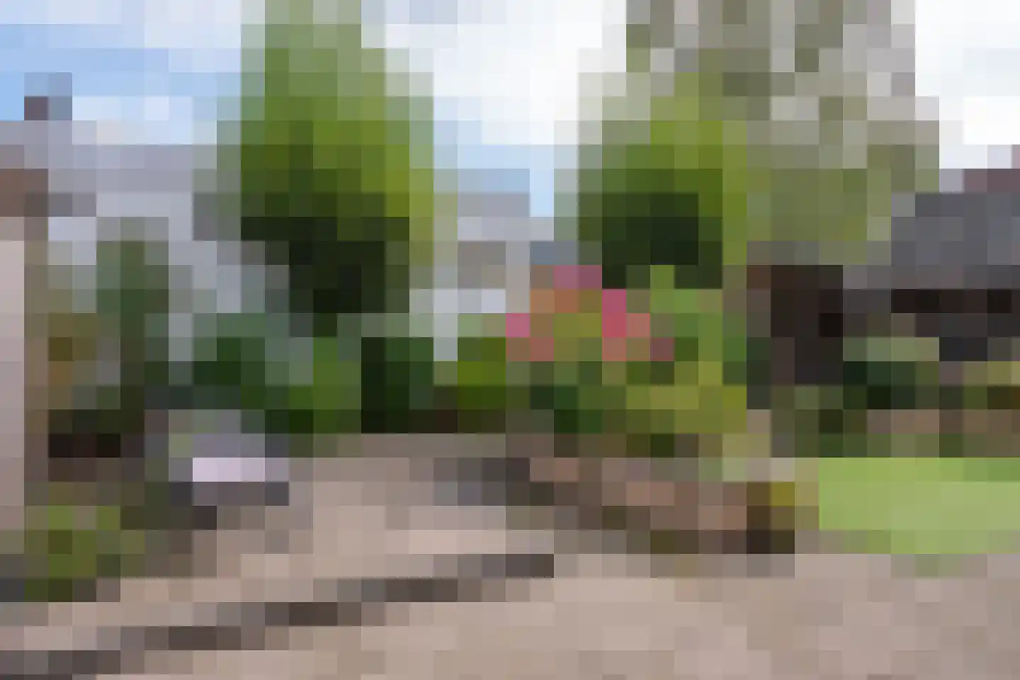Vackenordestraat 76 Elburg thumbnail 57