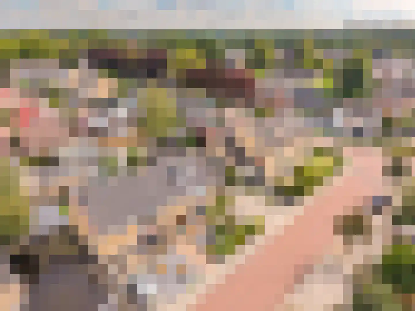 Vackenordestraat 76 Elburg thumbnail 60