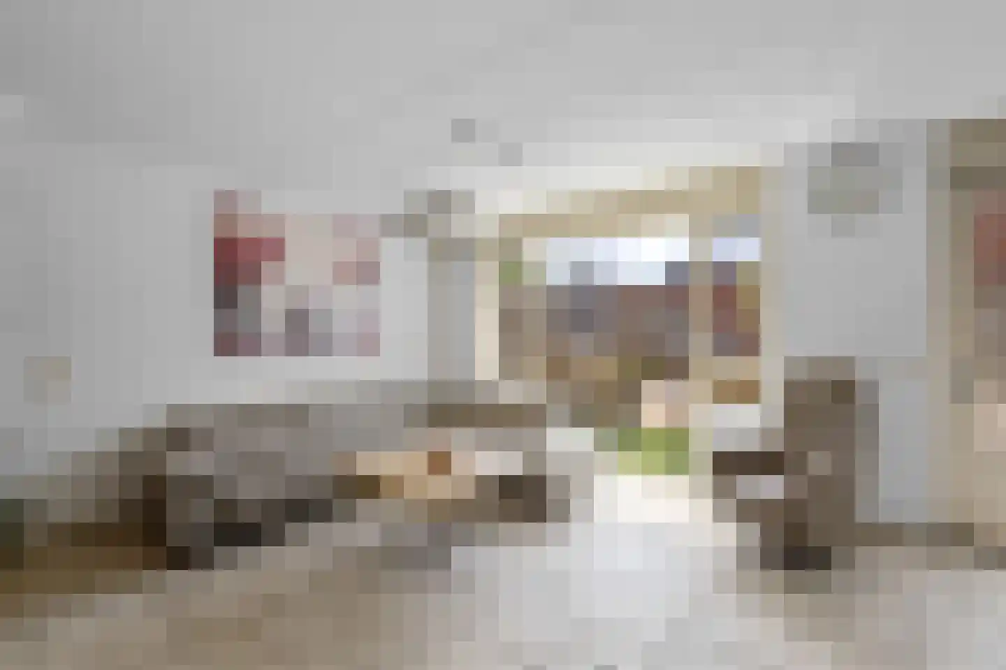Vader Vincentiusstraat 3 Oudenbosch thumbnail 10