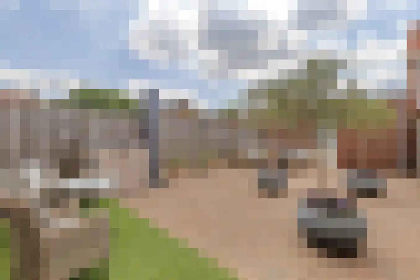 Vader Vincentiusstraat 3 Oudenbosch thumbnail 35